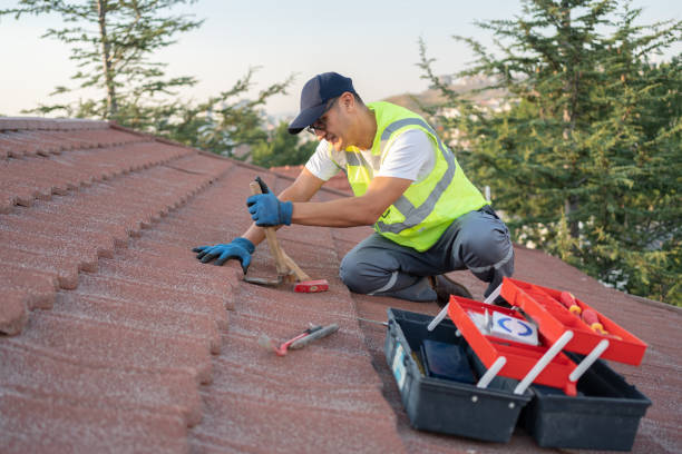 Best Roof Gutter Cleaning  in Annandale, NJ
